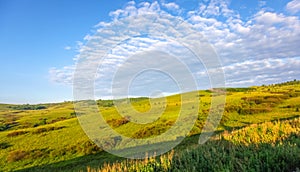 Inner Mongolia grassland