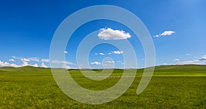 Inner Mongolia grassland