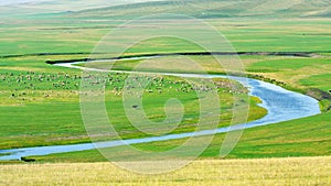 Inner mongolia pasture photo