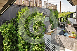 Inner yard of modern residential house