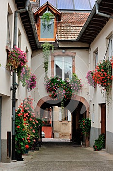 Inner yard scene at Ammerschwihr, France