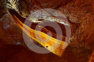 InnerSpace Caverns Cave Bacon