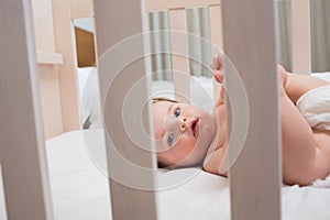 Innocent baby boy lying in crib