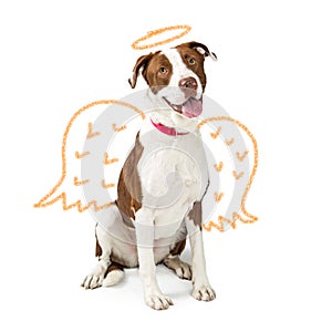 Innocent Dog With Drawn Angel Wings photo