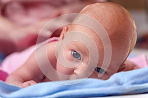 Innocent Gaze of a Newborn, Confident Eyes Exploring the World at Two Months