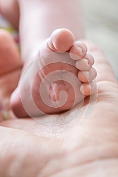 Innocent life - tiny baby foot in the palm of male hand