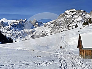 Innocently clear white snow on alpine peaks Schofwisspitz, Schwarzchopf and Stoss in Alpstein mountain range and in Appenzell Alps