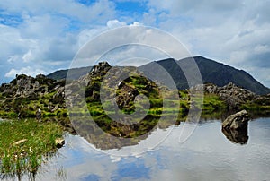 Innominate Tarn