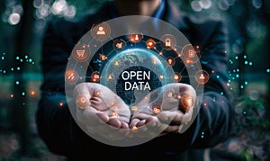 Innovative Leader Promoting Transparency and Collaboration through the Utilization of Open Data in Digital Business Strategies