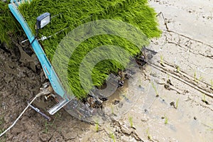 Innovative Rice Planting Machines and Technology for Farmers in Thailand