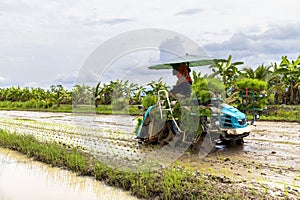 Innovative Rice Planting Machines and Technology for Farmers in Thailand