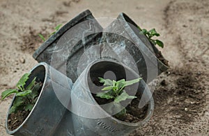 Recycle to give back photo
