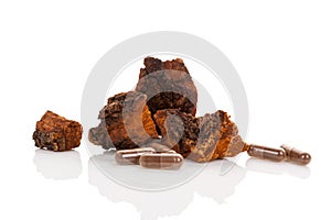 Inonotus obliquus, chaga chunks on white.