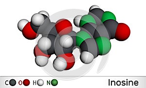 Inosine molecule. It is purine nucleoside, commonly occurs in tRNA. 3D rendering