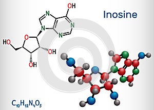 Inosine molecule. It is purine nucleoside, commonly occurs in tRNA. Consists of hypoxanthine connected to ribofuranose glycosidic