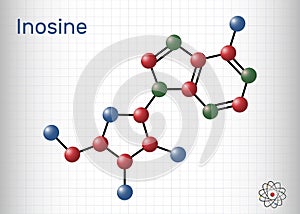 Inosine molecule. It is purine nucleoside, commonly occurs in tRNA. Consists of hypoxanthine connected to ribofuranose glycosidic