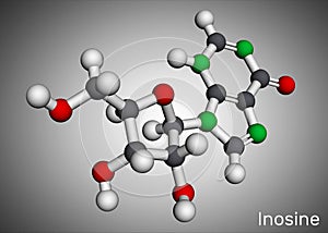 Inosine molecule. It is purine nucleoside, commonly occurs in tRNA. Molecular model. 3D rendering