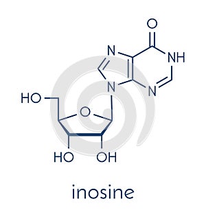 Inosine nucleoside molecule. Found in tRNA. Used as fitness nutritional supplement. Skeletal formula.