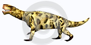 Inostrancevia Permian Reptile