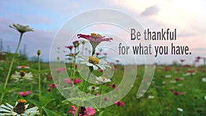 Blessings and thankful inspirational words with fresh meadow, zinnia flowers garden and colorful dreamy sky backgrounds.