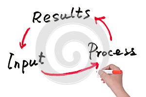 Input, process and results