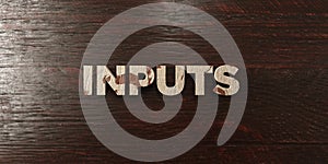 Inputs - grungy wooden headline on Maple - 3D rendered royalty free stock image