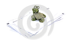 Inquisitive Hefty Turtle Paperweight Stack Bills photo