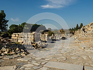 Ins of the ancient city of Ephesus, Izmir, Turkey