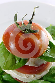 Insalata caprese