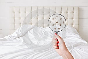 Insanitation concept. Woman holds lens, shows there are bugs in bedclothes, detects bad insects demonstrates dirty conditions. Dir