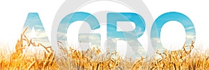 The inscription Agro on the background of a wheat plantation field. Agribusiness and agro-industry. The use of innovative