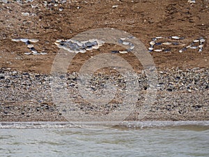 The inscription on the beach-I love the sea. Signs and symbols. On the sea sand-shell beach, the text and the heart are laid out