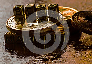 inscription bear market with Crypto currency Golden Bitcoin, BTC, macro-shot coin, bitcoin mining concept
