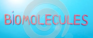 Inscription biomolecule in red letters on a blue background. The concept of the section of science in biology photo
