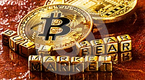 Inscription bull bear market with Crypto currency Golden Bitcoin