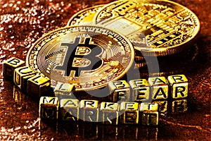 Inscription bull bear market with Crypto currency Golden Bitcoin