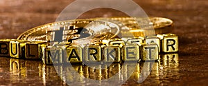 Inscription bull bear market with Crypto currency Golden Bitcoin