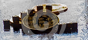 inscription bull market with Crypto currency Golden Bitcoin, BTC, macro-shot coin, bitcoin mining concept