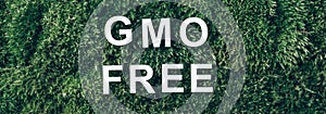 Inscription GMO FREE on moss, green grass background. Top view. Copy space. Banner. Biophilia concept. Nature backdrop