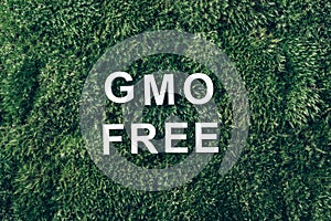 Inscription GMO FREE on moss, green grass background. Top view. Copy space. Banner. Biophilia concept. Nature backdrop