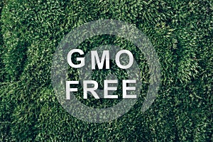Inscription GMO FREE on moss, green grass background. Top view. Copy space. Banner. Biophilia concept. Nature backdrop