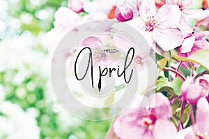 .Inscription Hello April. Floral natural background spring time season.