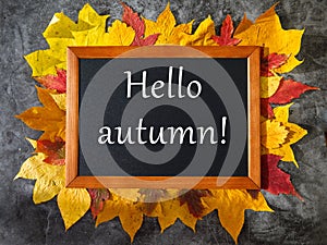 inscription Hello Autumn written on black board in wooden frame, autumn leaves