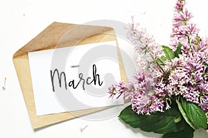 Inscription Hello March. Lilac flowers and envelope on white background. Spring flowers. Top view, flat lay.