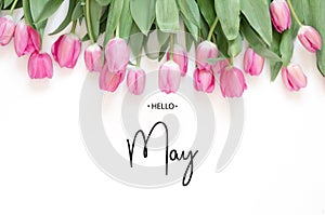 Inscription Hello May. Tulip flower. Spring background.