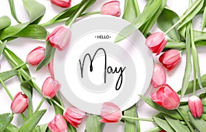 Inscription Hello May. Tulip flower. Spring background. photo
