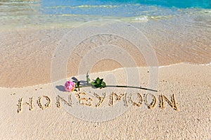 Inscription Honeymoon and rose on sea coast