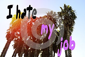 Inscription, I hate my job, against the backdrop of palm trees in the summer in the park in the rays of the setting sun