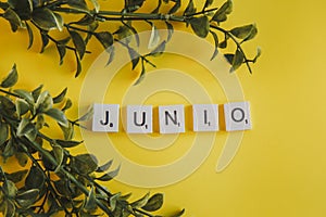 The inscription junio in spanish on the letters of the keyboard on a yellow background with branches flowers photo