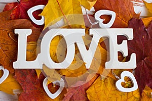 The inscription love on autumn yellow maple leaves.